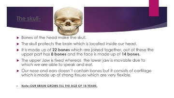 CLASS -5   SCIENCE CHAPTER 2 BONES AND MUSCLES (PART -1/2)