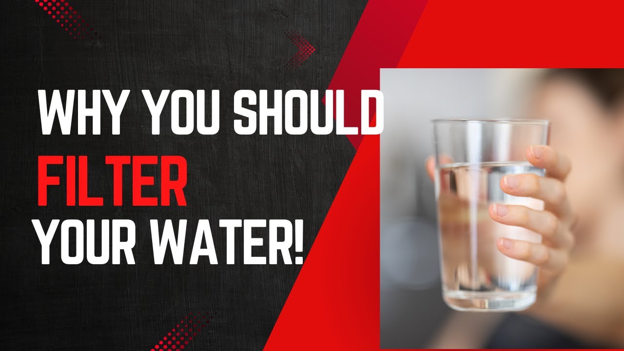Why You Should Filter Your Water!