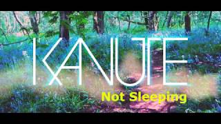 Watch Kanute Not Sleeping video