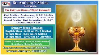 Fr B Mathai / St.Anthony Shrine/Mettuguda/English Mass 6.30 am Live Streaming/7th June 2026