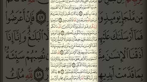 @آيات مباركة من سورة( الشورى) اخي الفاضل تفكر بها من الآية الكريمة (٤٤-٥٣)