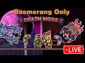The Beginning of The End - Terraria Calamity Boomerang Only