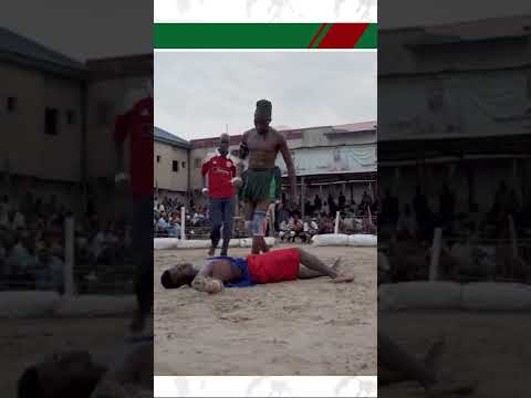 Dambe Warrior Knocks Out And Humilates Opponent