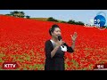 박은주 벤치 COVER곡 원곡 서주경 KT TV 영상 010 5071 8773 석양