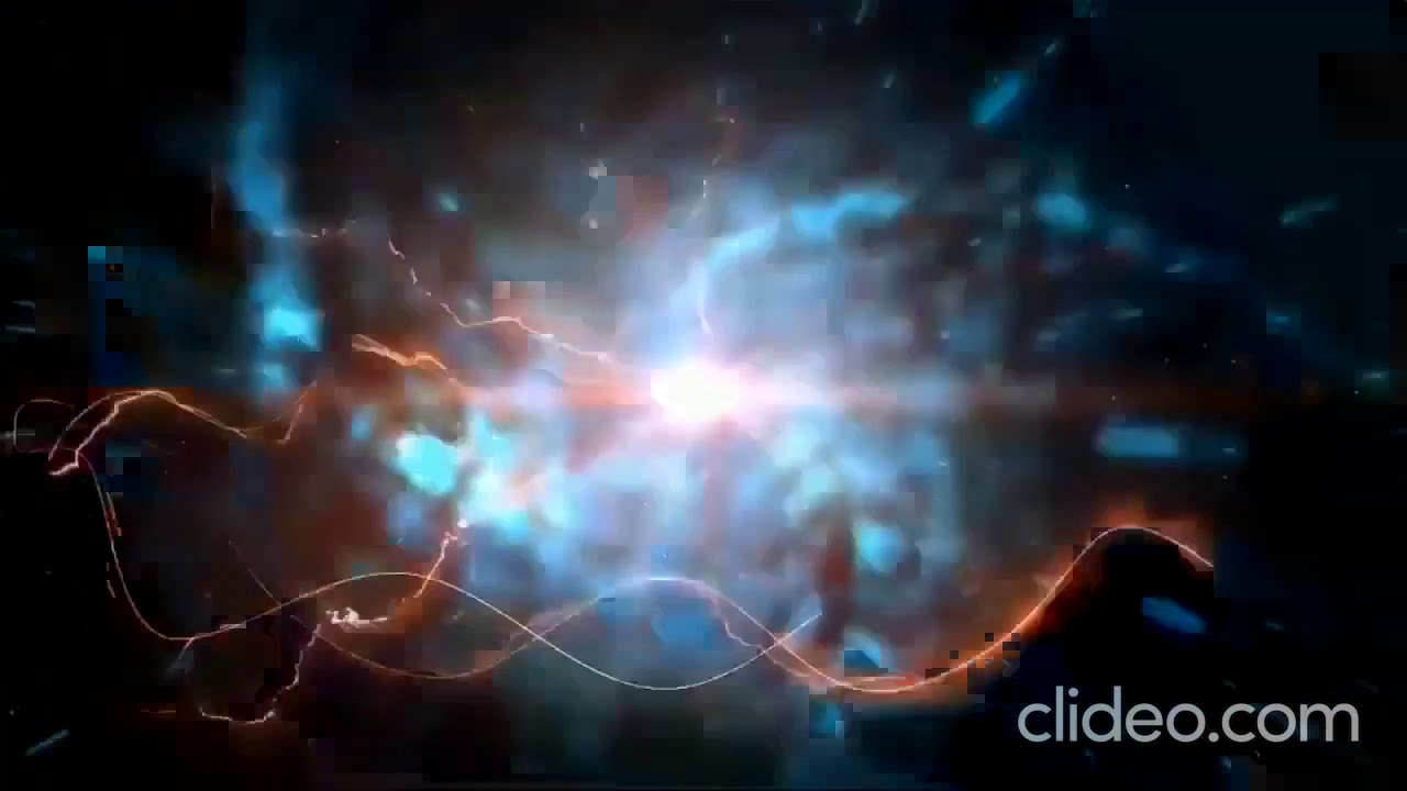 OCTOPUS (OCTOPODA) IN CUP.