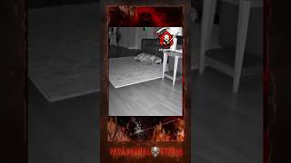 Demonic Poltergeist Caught on Camera