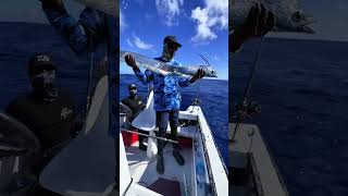 Rare fish species that exist deep in the ocean #fish #rare #ocean #sea #fishing