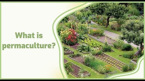 Permaculture: Designing Agricultural Ecosystems for Sustainability (2 Minutes)