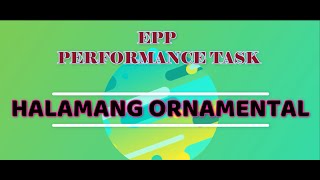 Famous Halamang Ornamental - EPP-4 Performance Task! Wealth