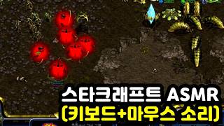 【ASMR】 스타크래프트 밀리 게임 | 키보드&마우스 소리 | YMDK WINGS 보바검 키보드소리 | 스타크래프트 밀리 플레이영상