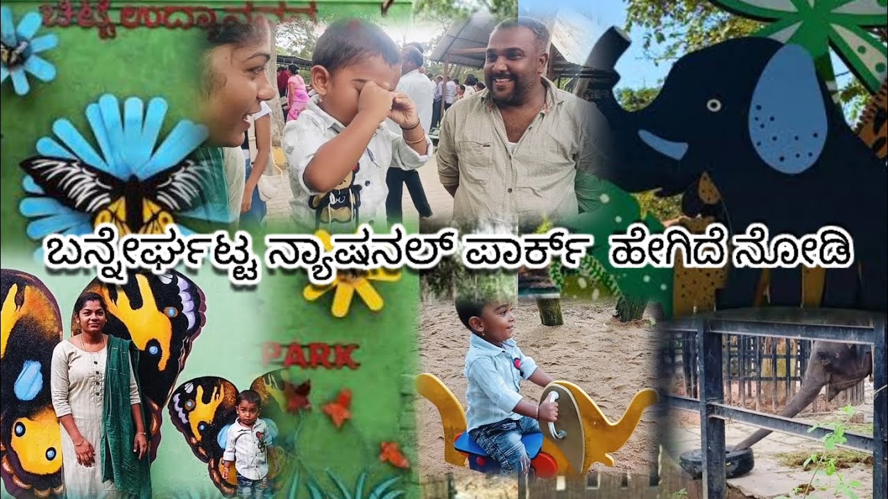 ಬನ್ನೇರುಘಟ್ಟ ರಾಷ್ಟ್ರೀಯ ಉದ್ಯಾನವನ ತುಂಬಾ ಚೆನ್ನಾಗಿದೆ 🥰// one day trip full enjoy // subscribe 