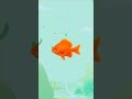Orange Colour for Kids ❤️ | Cartoys | Shorts5#kidseducatio