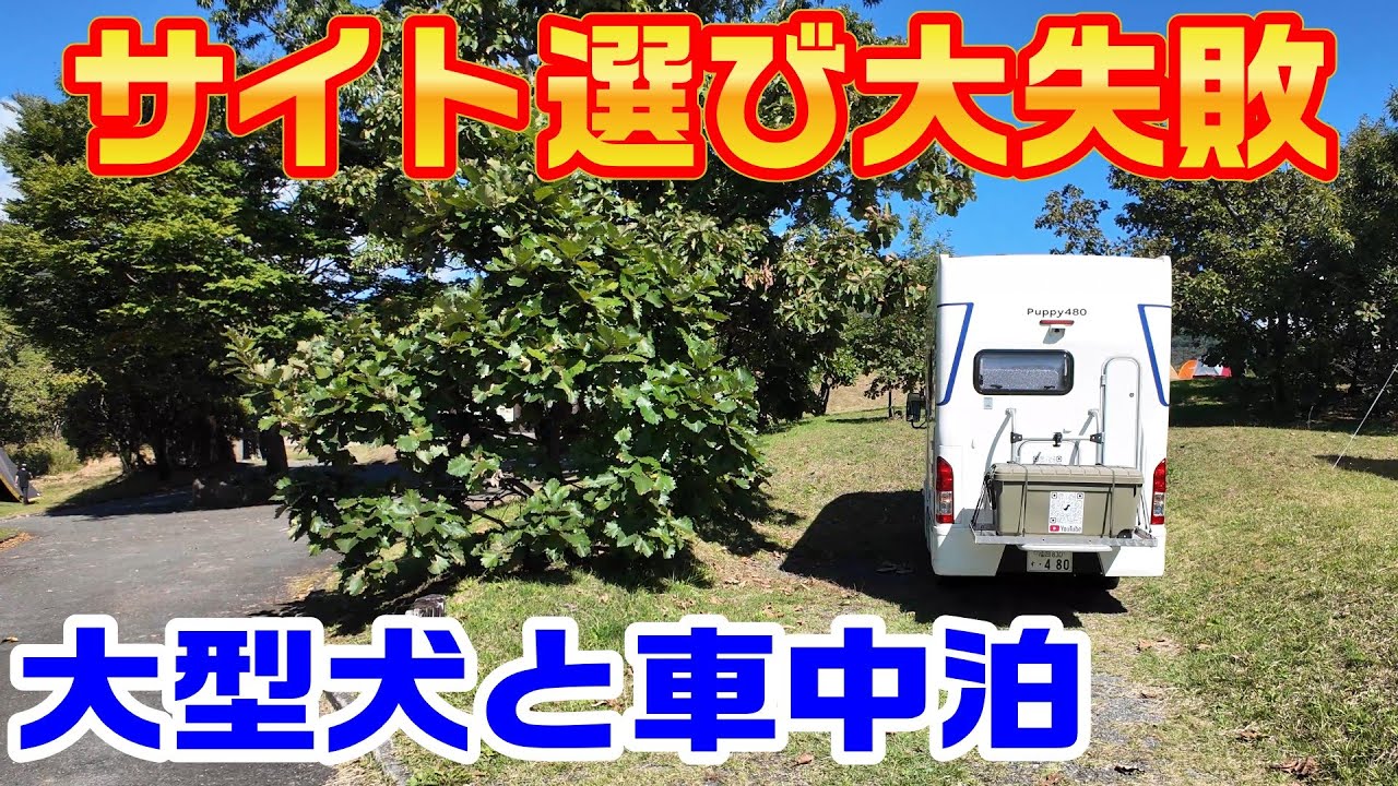 Puppy480 大型犬と車中泊 | 瀬の本高原オートキャンプ場①