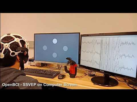 SSVEP Demo - Brain Computer Interface