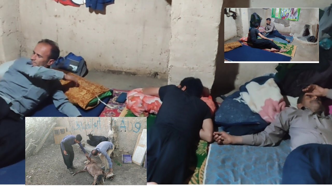 **Big shock in Bagh-e-Nou: Ruhollah disappeared! 🚨