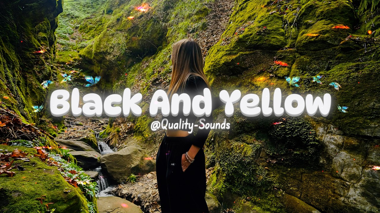 Wiz Khalifa - Black And Yellow - (Speed up + Reverb)