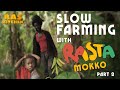 Hummingbirds & GIANT Plantains! Slow Farming with Rasta Mokko & Ratty