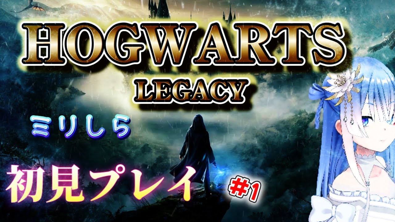 完全ミリしらないハリーポッターの世界に潜ります！　#1