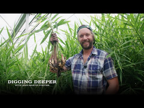 Vidéo: Suspension d'extérieur de plantation de Lightology