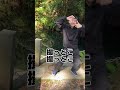 【てんしょう劇場】6話となりのトトロ #バズれ #面白い #高校生 #青春 #スポーツ #ドッキリ #バドミントン #モノマネ #ウンパルンパ