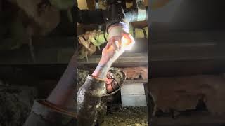 Making your soft connection to sewer in your tiny home.