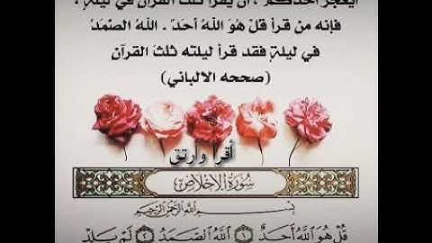 سورة الأخلاص/حالات واتس اب دينيه قصيره/ايات قرآنيه قصيره تريح النفس💟/مقاطع انستا