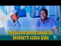 Dargaggeessa Qaroo Dhabeessaa Dandeeytii Guddaa Qabu Qaroo Dhabuus Abjuu Koo Ni Dhugoomma Dargaggeessa Qaroo Dhabeessaa Dandeeytii Guddaa Qabu Qaroo Dhabuus Abjuu Koo Ni Dhugoomma