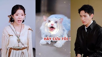 Cô gái nghe được tiếng lòng của động vật cứu giúp nhiều người và tái ngộ cùng tình đầu