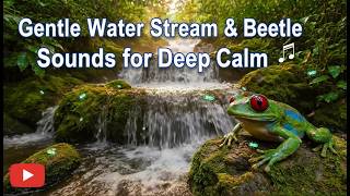 Daytime Nature ASMR 🌿 Gentle Water Stream & Beetle Sounds for Deep Calm and Focus screenshot 5