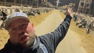 Download Lagu THE 12 DAYS OF CHRISTMAS “farmer style” MP3