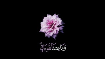صباح الخير اجمل حالات واتس اب مقاطع انستجرام اسلاميه قصيره قرآن كريم بصوت عبد الرحمن مسعد بدون حقوق