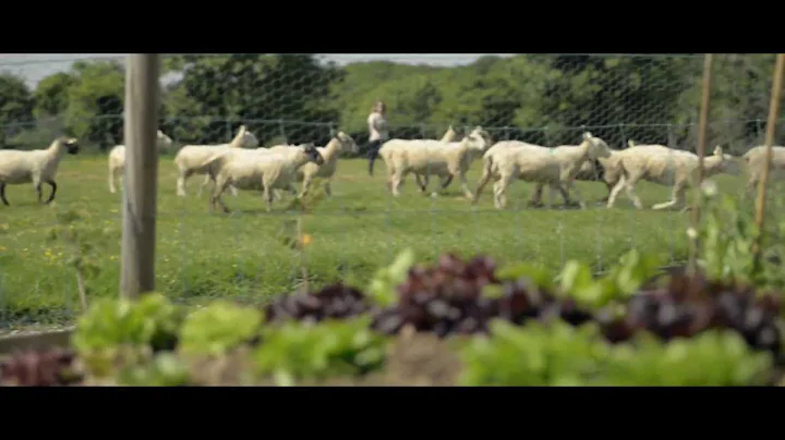 Catherine Fulvio on how the EU protects the Food Chain from Farm-to-Fork