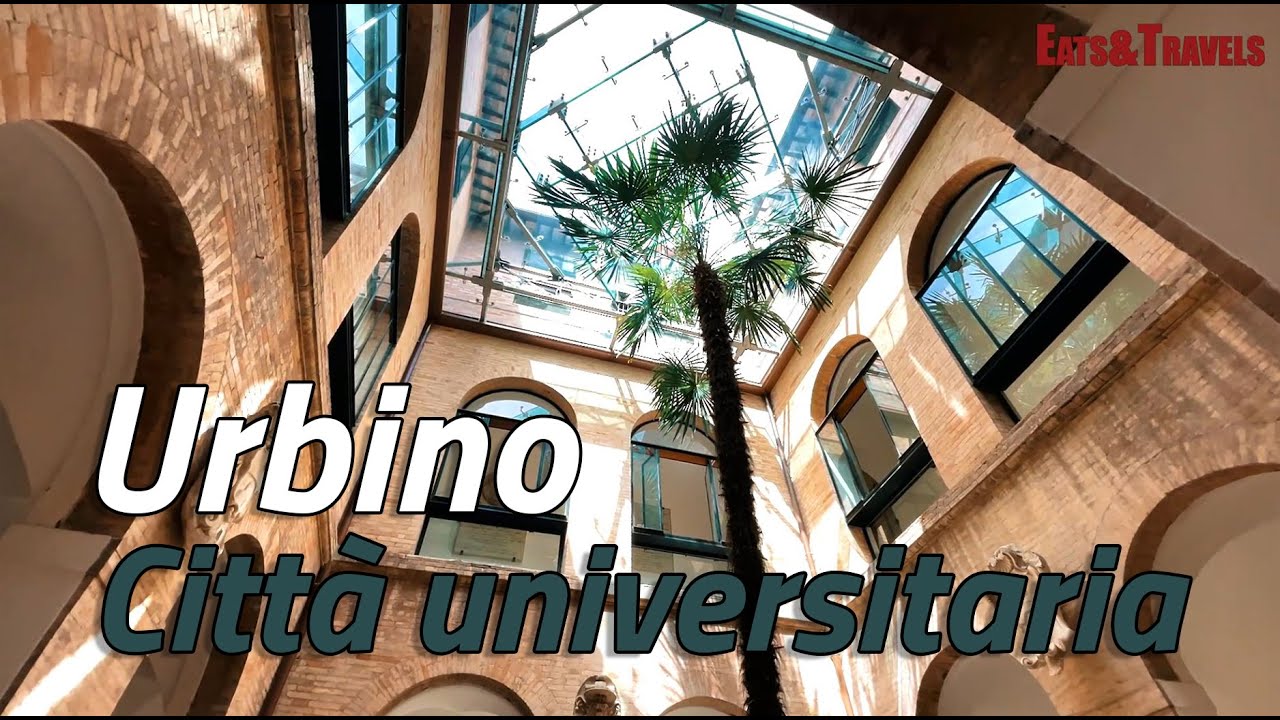 Urbino città universitaria