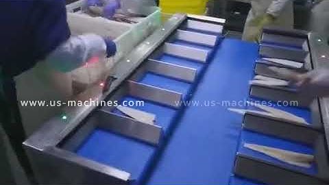 Automatic preloading conveyor belt weighing selecting sorting machine weight checking conveyor