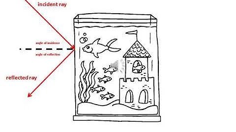 Presentation Module 15 2