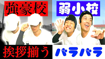 あめんぼぷらすyameru