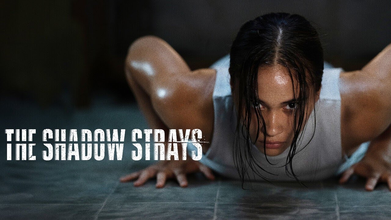 The Shadow Strays (2024) Netflix Action Trailer (eng sub)