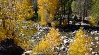 West Walker River at the Pickel Meadow Fishing Access