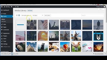 Begginer Tutorial to Wordpress by Ireland Website Design