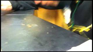 Snorting Legal Things: Snorting Bacon