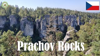 A Trip to Prachov Rocks- Bohemian Paradise II Jičín, Czech Republic II Daytrip II