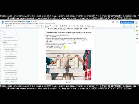 Видеообзор материалов для бизнес плана на ЛПХ для соцконтракта