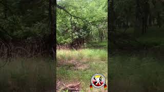NOBRO Investigator Spotlight | Chris Ramsey Revisits Area Three