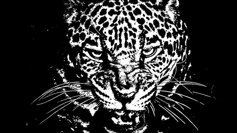 (Free) Dark Boom Bap Type Beat - "Showdown"