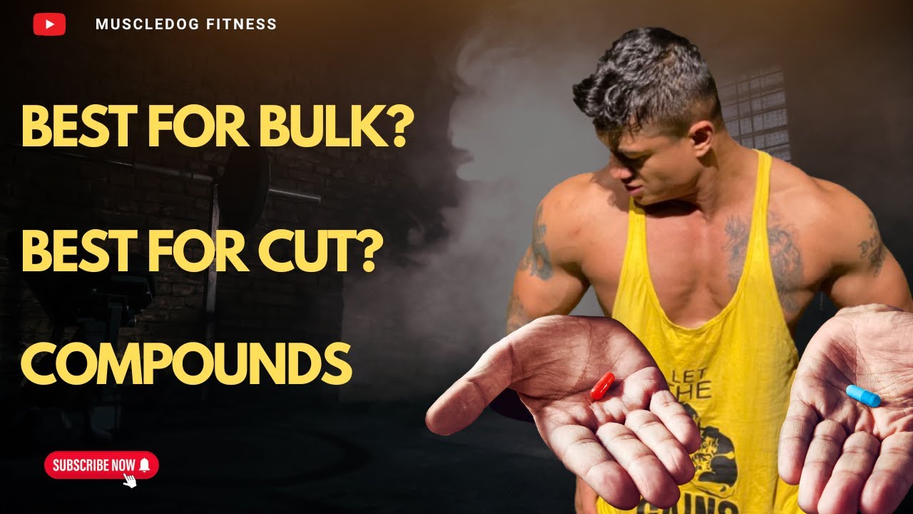 Bulking vs Cutting Compounds: What Actually Works? (Real Education)