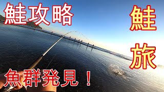 【鮭釣り】伊達・古平でサケ調査!ヒットルアーを発見したよ! 【鮭釣り】伊達・古平でサケ調査!ヒットルアーを発見したよ!
