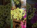 chrysanthemum #remix #music #instrumental