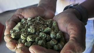 Agricon - How To Prepare A Mixture For Pelletizing