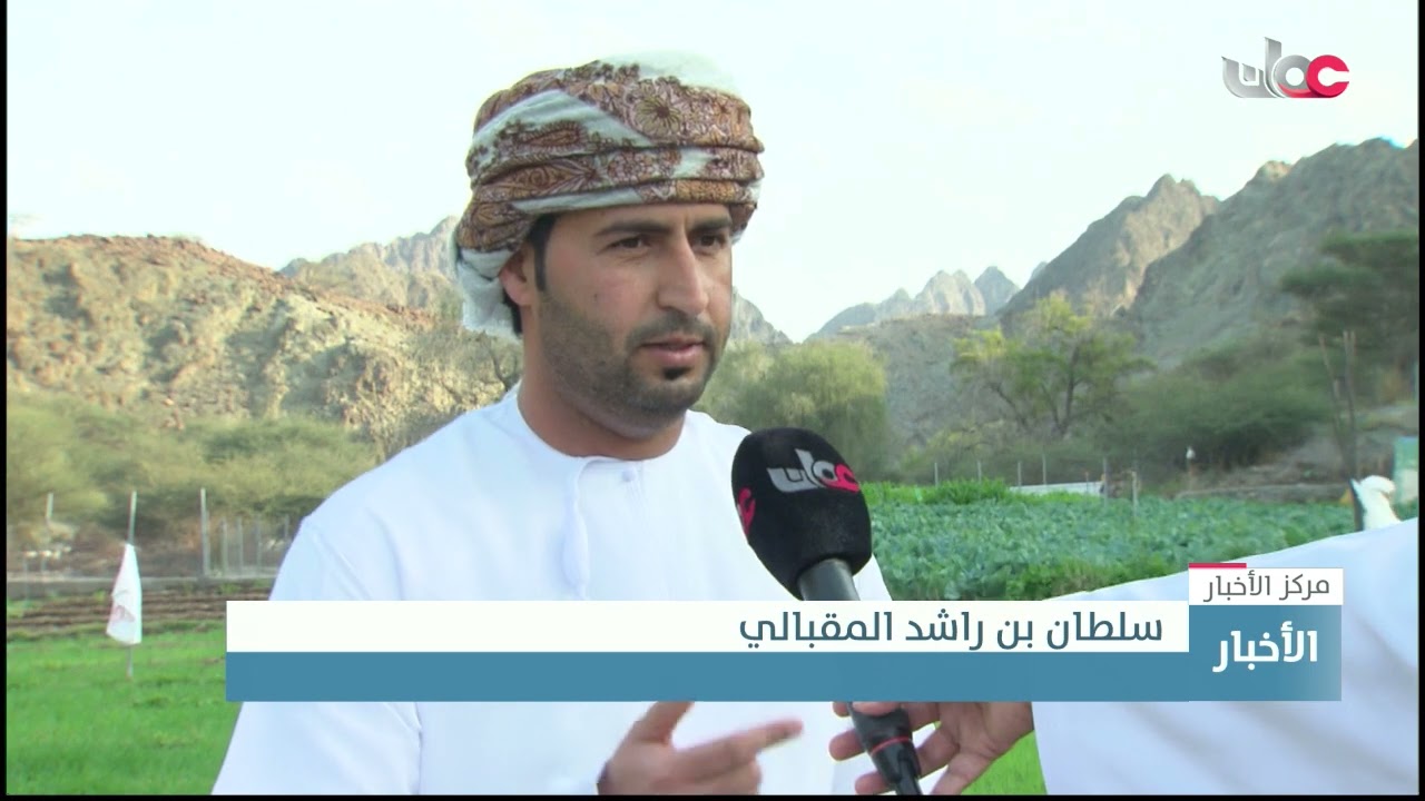 مفردات الطبيعة الريفية من مشهد جمالي خلاب على مسار وادي الحلتي بولاية صحار