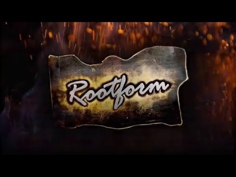 Rootform Blacksmiths Forged Metal - Tree Branch Balustrades - Cape Town